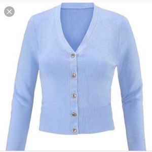 light blue sweater